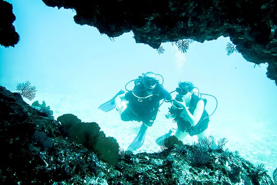 Tour image 2
