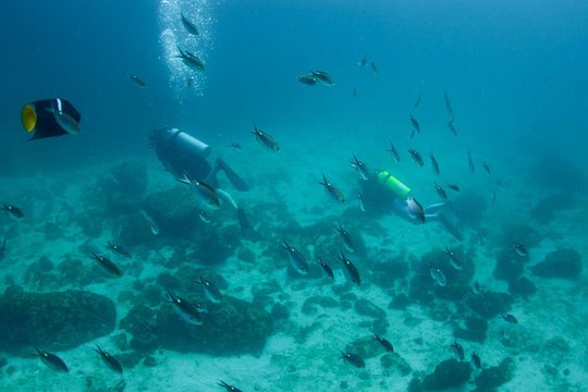 Tour image 5