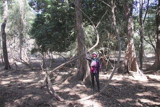 Tour image 6
