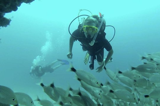 Tour image 2