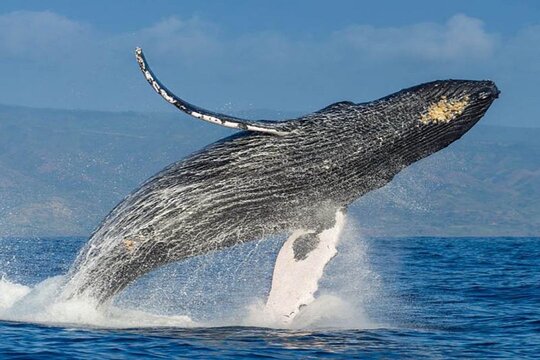 Tour image 3