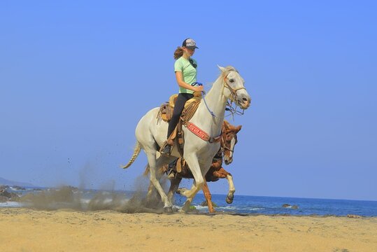 Tour image 4